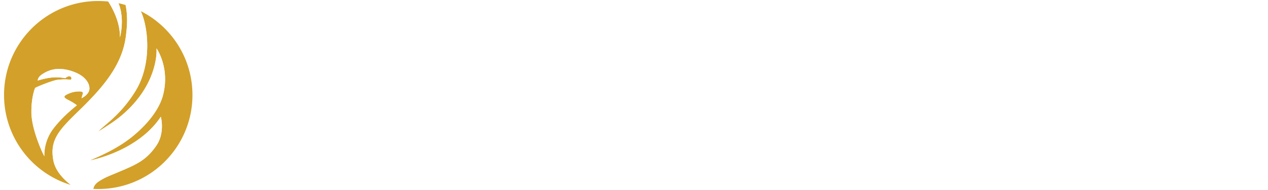 Black Hawk College Foundation logo